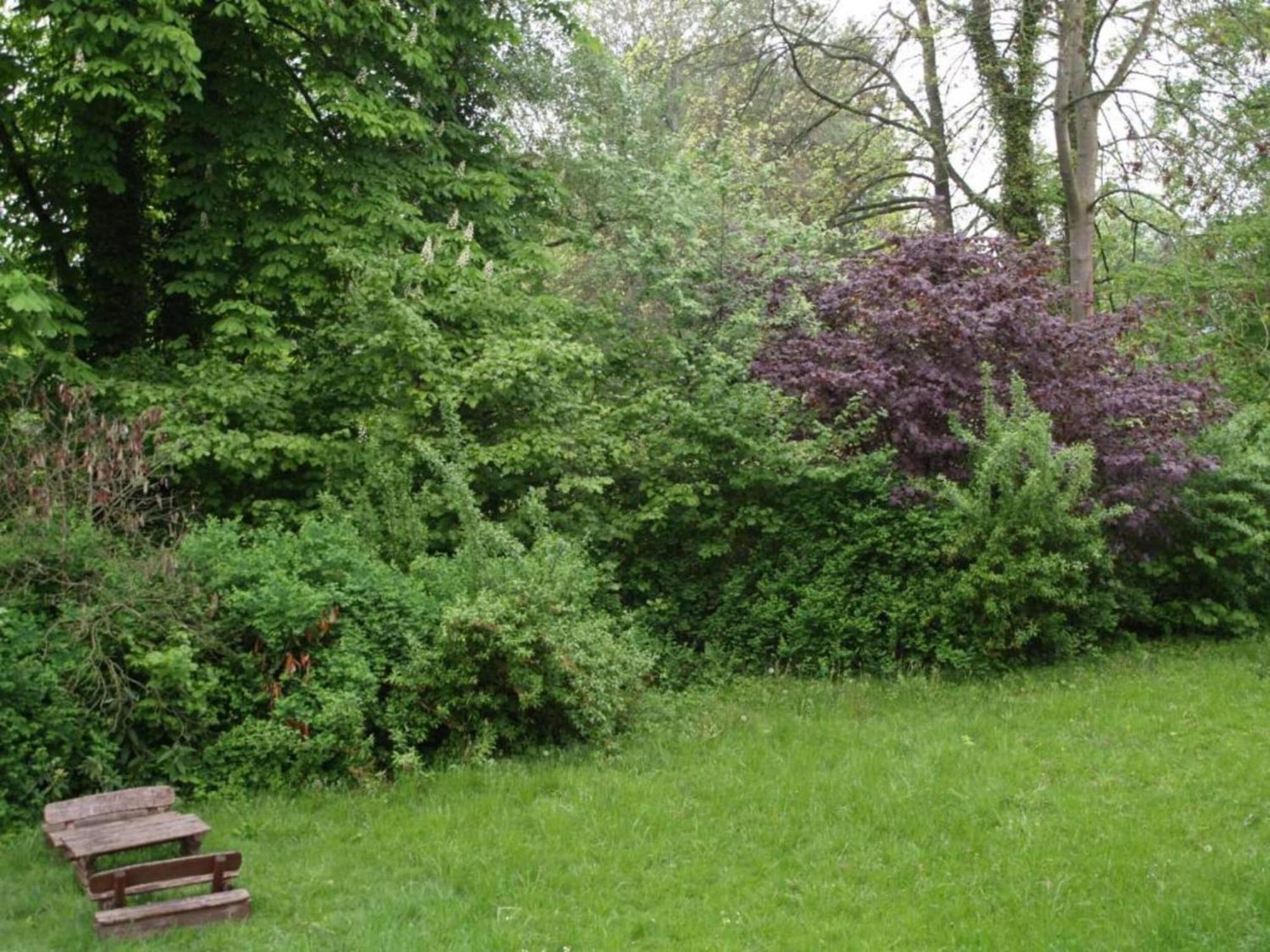 Spacious Apartment In Weser Uplands With Garden Bad Pyrmont Exterior foto